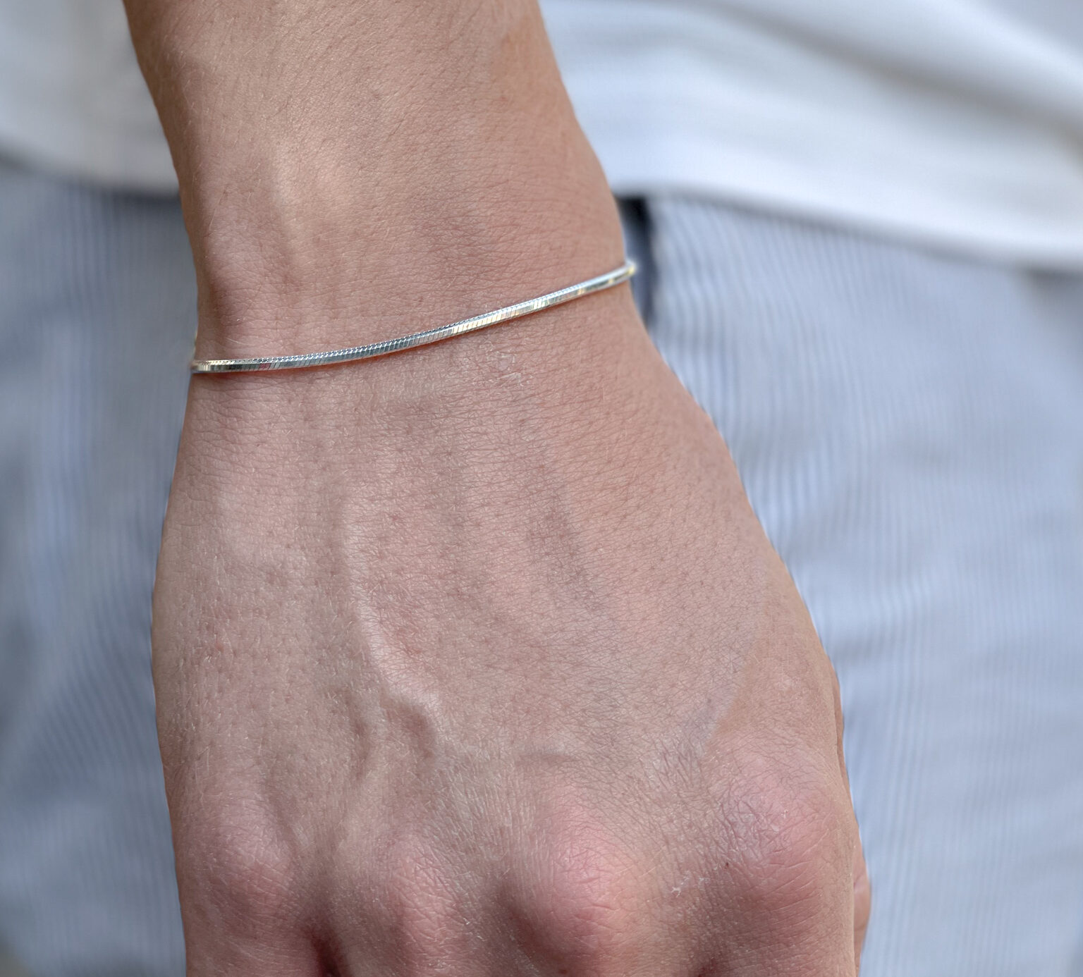 E69E50F1-B353-41AE-B56F-F84FAD2C561D pandora silver bracelet